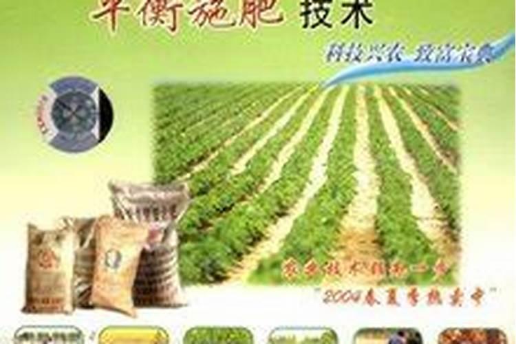 番茄平衡肥什么时候用