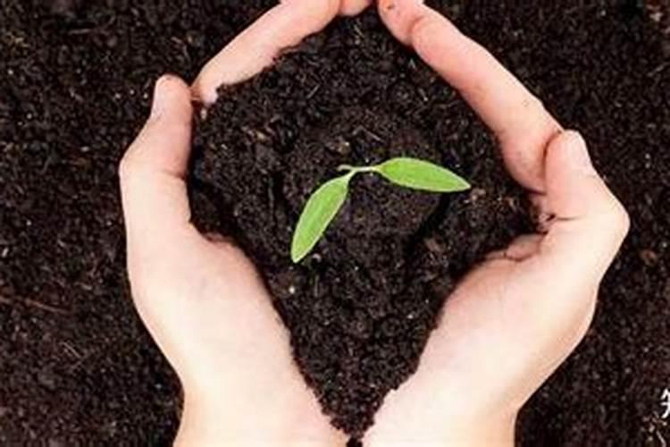 发酵好的鱼蛋白怎样保存不会坏