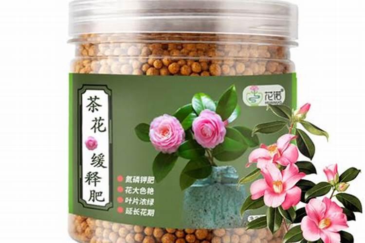 种豆角用什么肥料最好