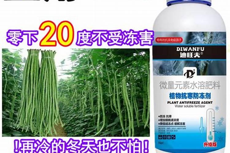 大樱桃一年打药的时间表