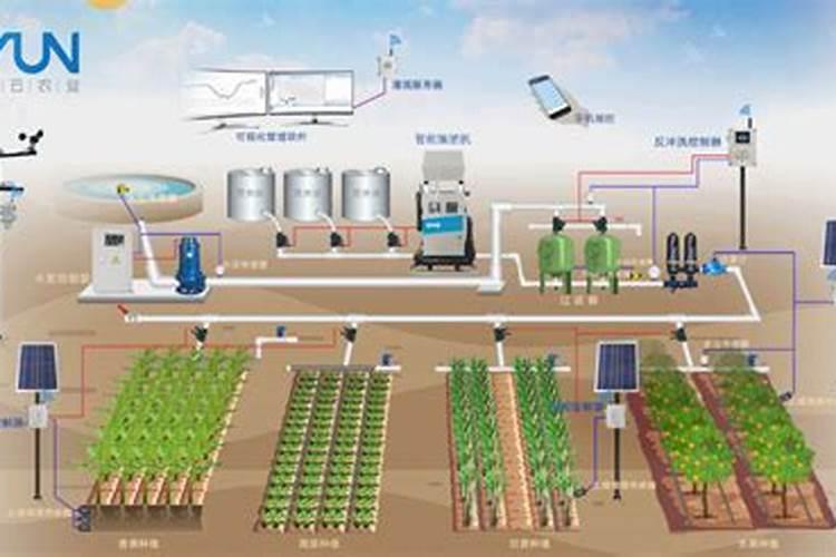 种植西瓜用什么肥料最佳？不同生长阶段,巧施肥料