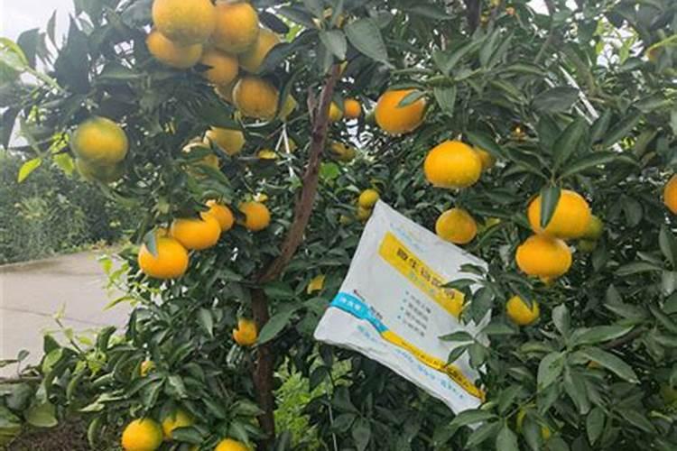 磷肥和化肥的区别