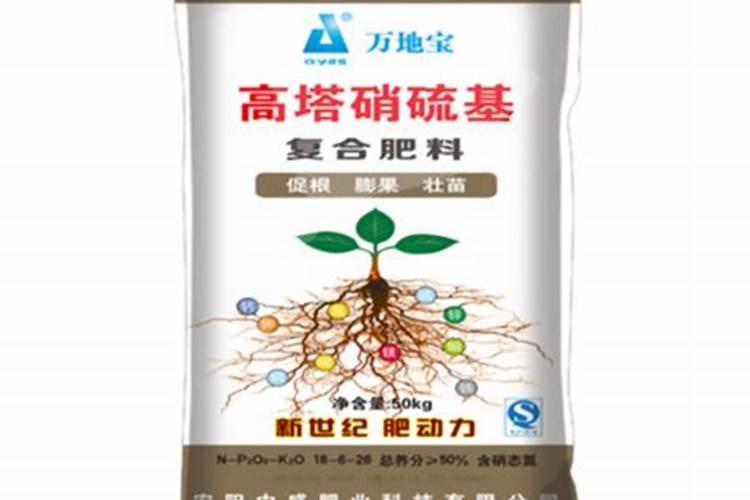 西瓜膨果期用什么肥料