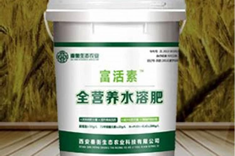 山东惠民特产:麻店西瓜