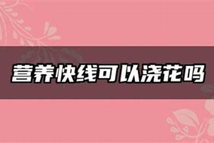 绿萝用什么肥料长得快