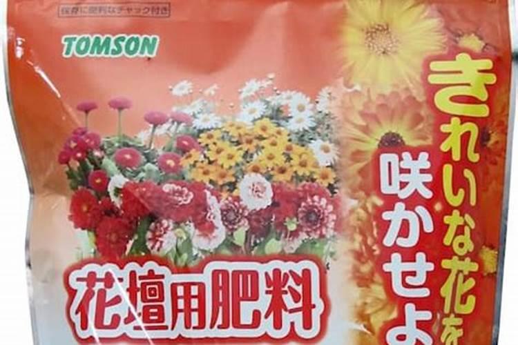 茉莉花施什么肥开花多