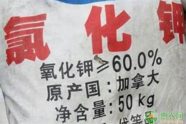欢能肥厂家是正规厂吗