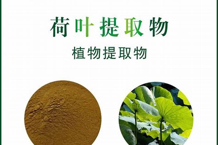水仙花最多的资料
