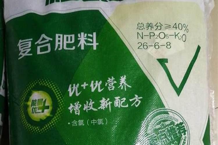 种玉米用什么肥好