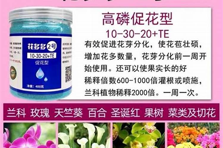 火龙果结果期间施什么肥,才能长得又大又甜？