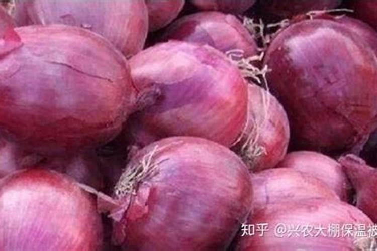 什么药能烂树根树干最好