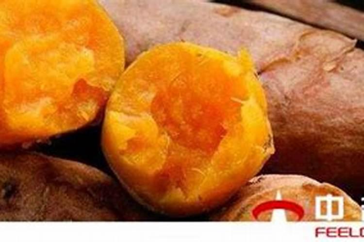 大豆叶面肥哪个牌子好