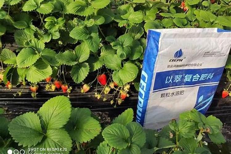 水溶肥的配方和制作方法