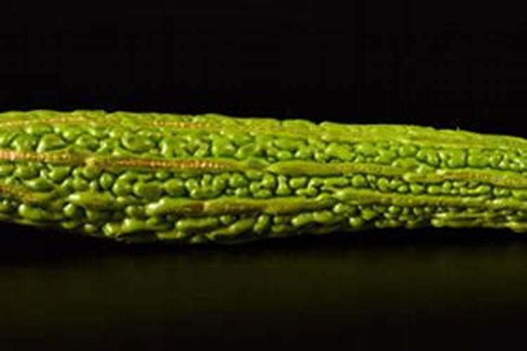 大棚育苗生根剂的能不用？