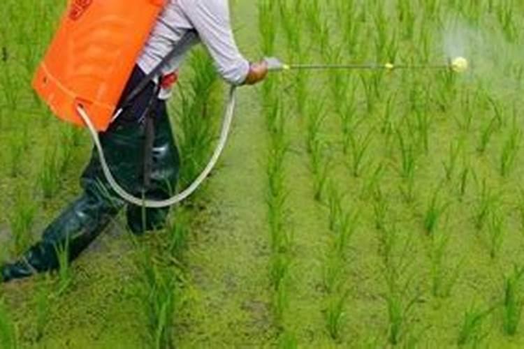 全球最大钾肥厂