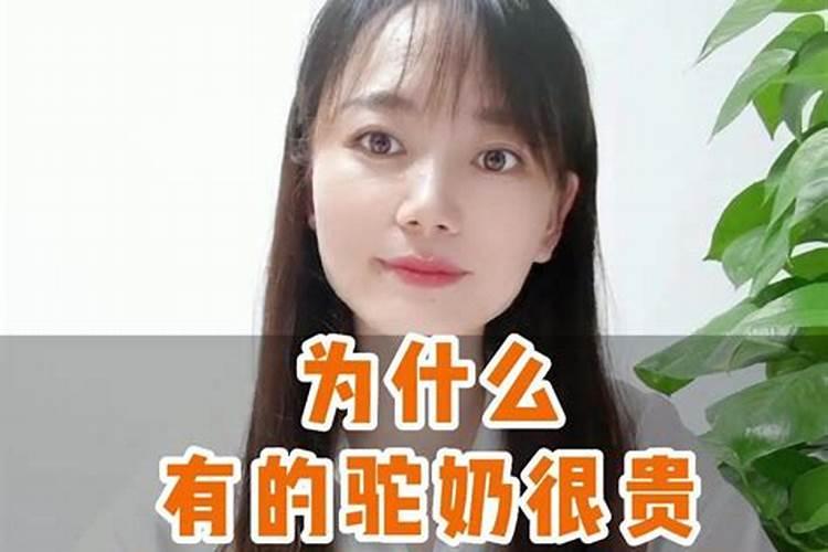 柑橘如何高效施肥用肥