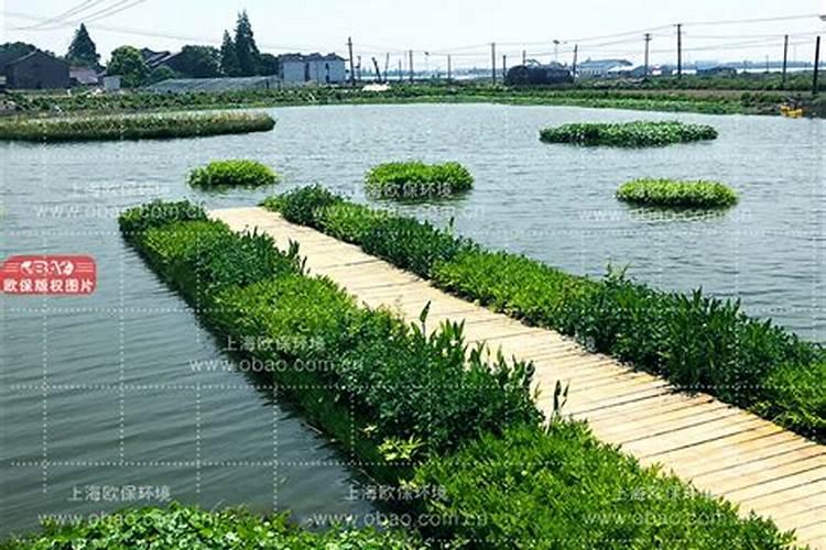 百泉大蒜18.18.18复合肥多少钱一吨？