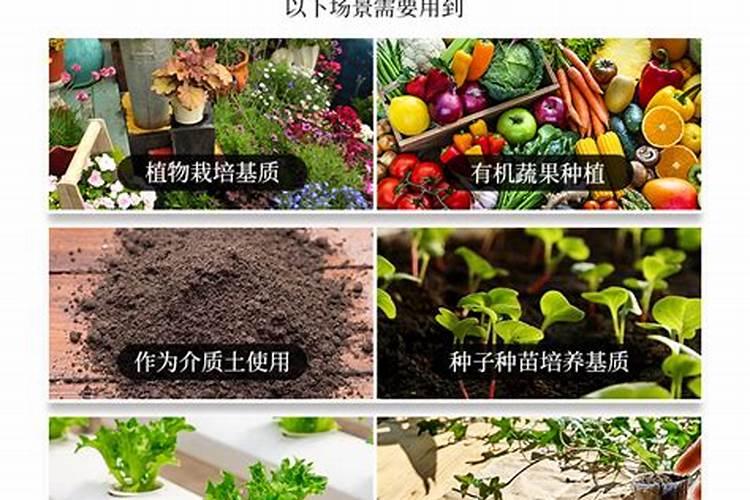 小区绿化头年种植的苗木第二年施什么肥。有地被有乔灌木。想提高成活率...