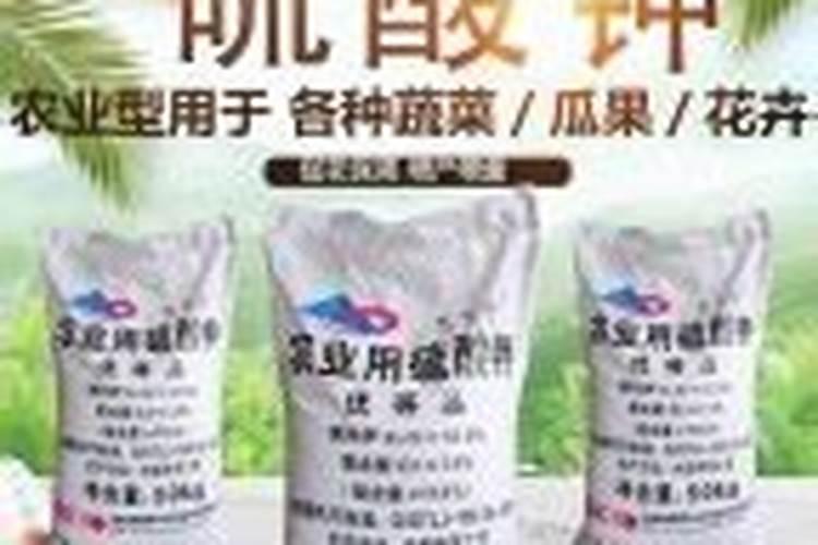 草莓滴灌钙肥一亩多少斤？