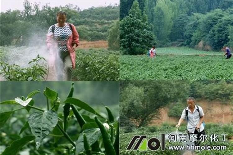 单一元素水溶肥料糖醇钙