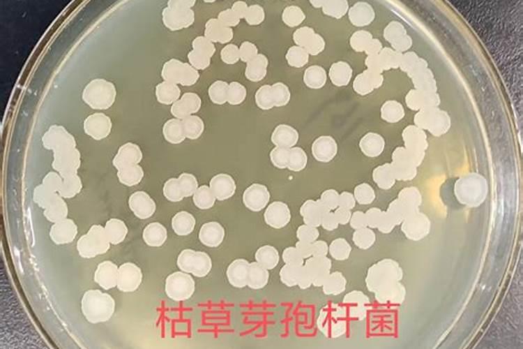 农资化肥基础知识大全