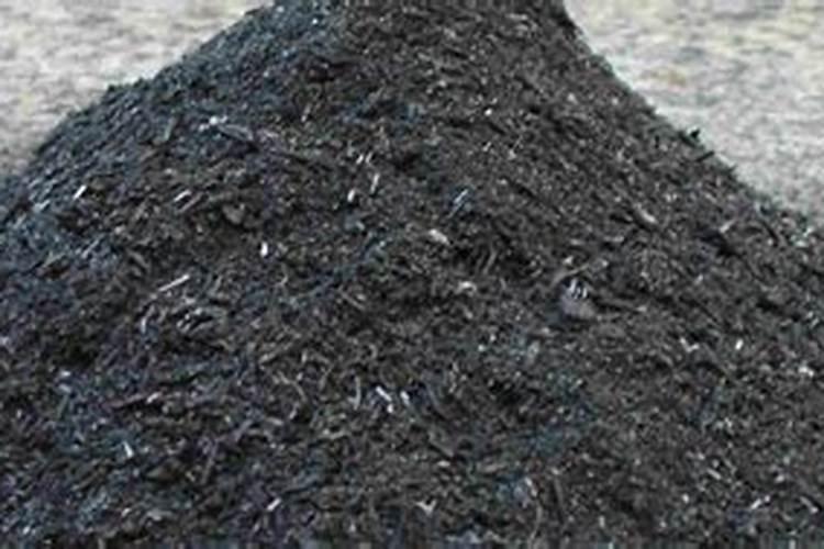 ...出来的菜都被虫子和螺给吃光了,怎么在不使用农药的...