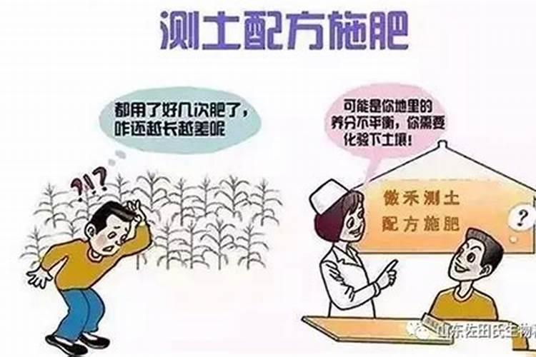 菜花苗怎么控旺？