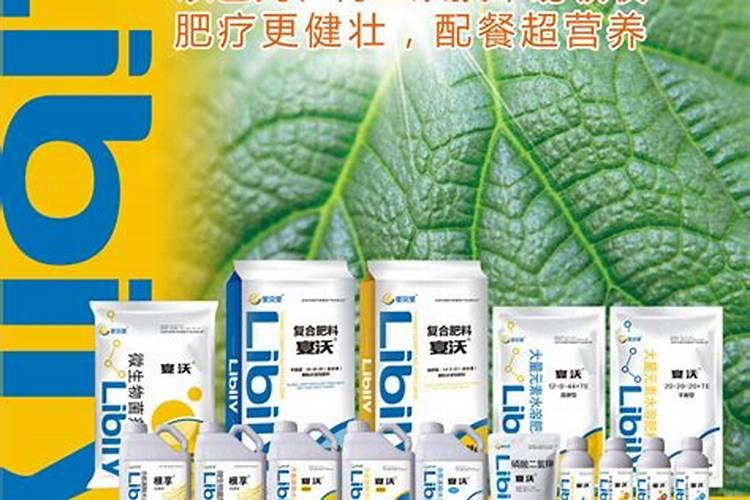 猕猴桃挂果后施什么肥料