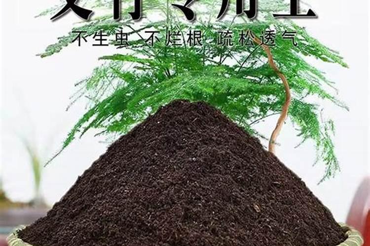 磷酸二氢钾加尿素的使用方法