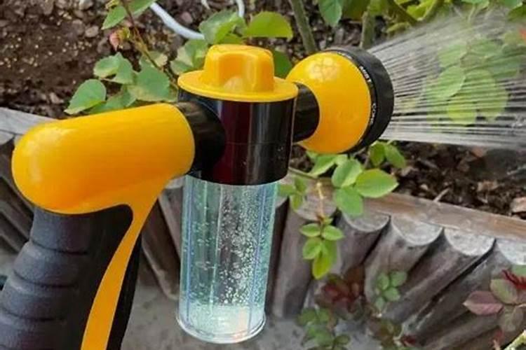 泡叶藻微生物菌剂肥料？