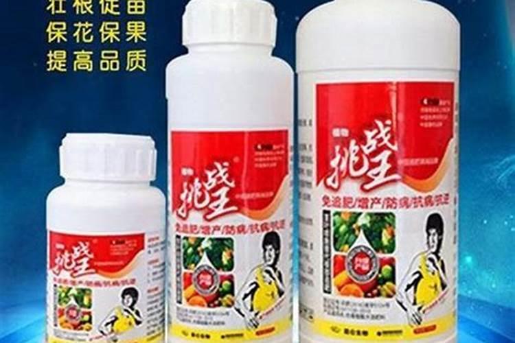 枇杷扦插多久长根