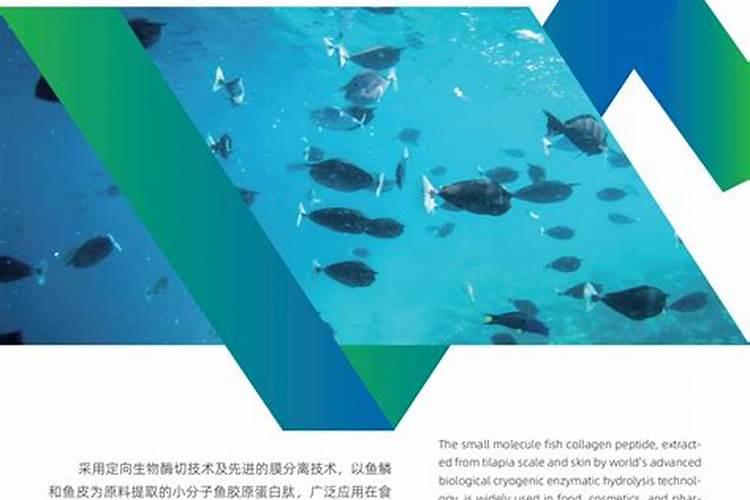 中环美健蛋白低聚肽成分安全吗？