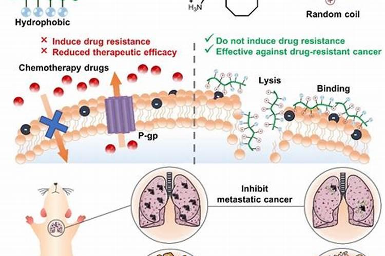 兖矿鲁南化肥厂的企业文化