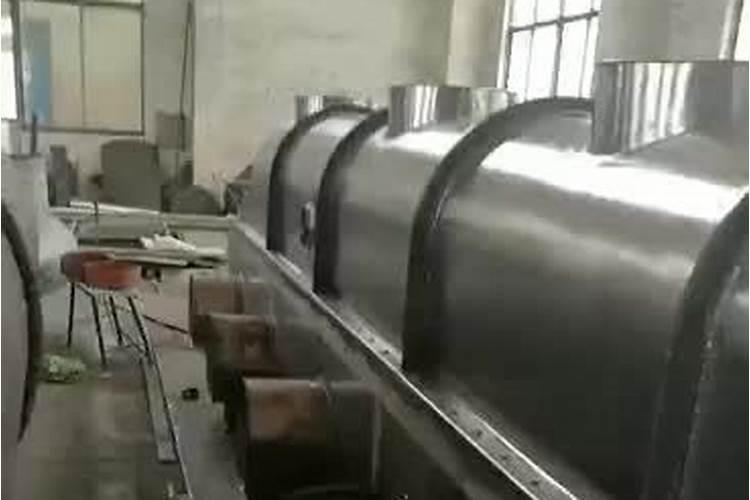 双色三角梅价格多少钱一棵？双色三角梅种植技术介绍