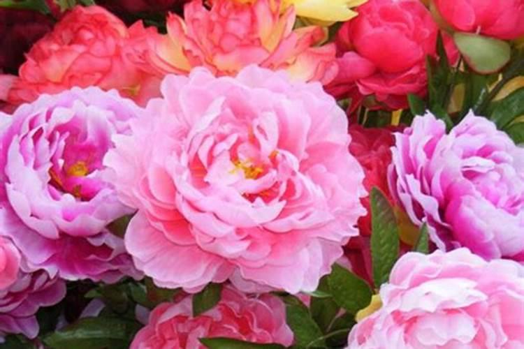 农用硫酸钾肥在地里有效期是多长时间