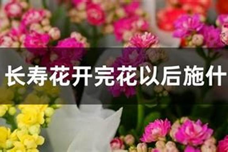 施什么肥可以促进开花施什么肥能促进开花