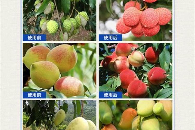 海藻精在肥料中的添加方法