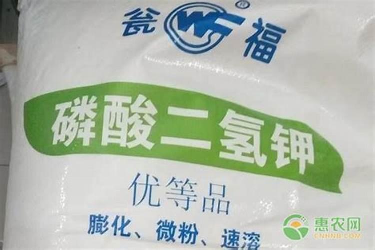 芒果花期用什么肥料好