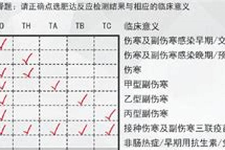 大葱冲什么肥长的快