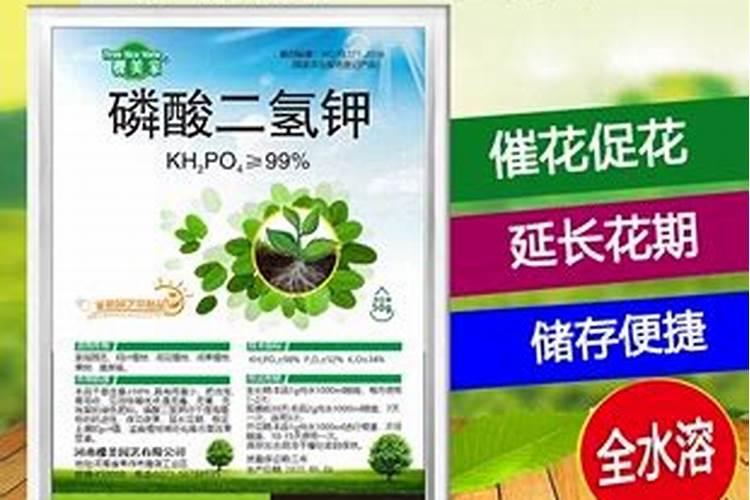 磷肥对果树的作用是什么