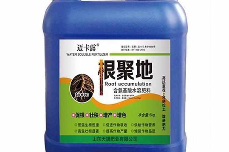 大白豆快速泡发方法