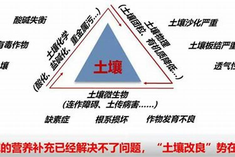鱼蛋白放多了会烧根吗