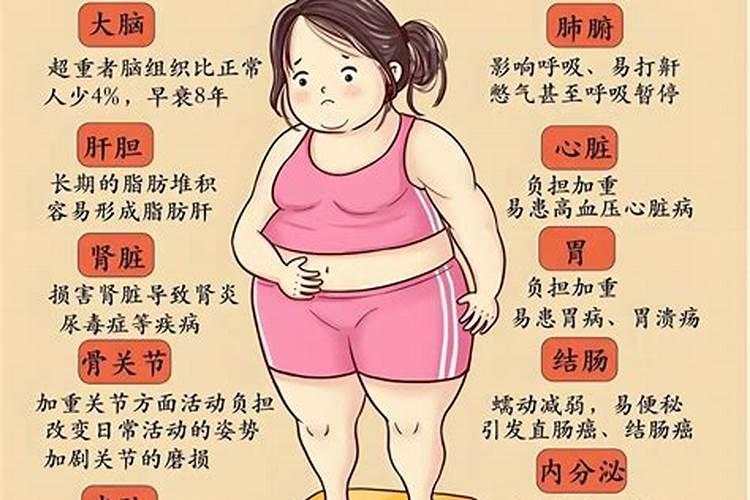 常见的高钙食物有哪些