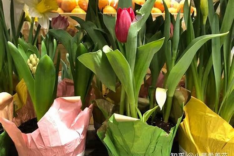 镁燃烧弹和铝燃烧弹的区别