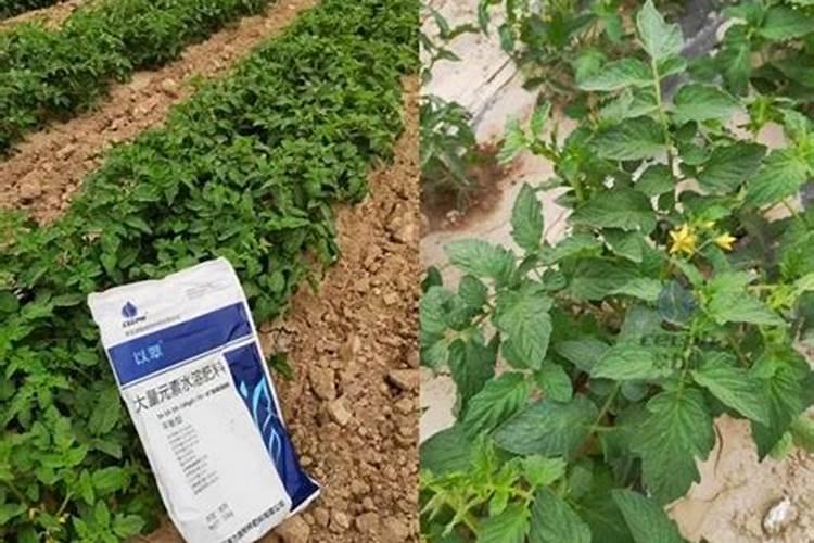 100斤尿素多少钱？