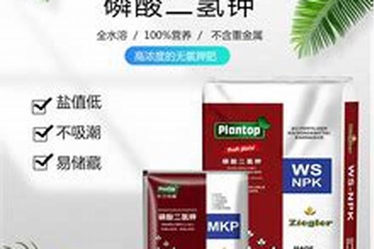 赤霉素芸苔吲哚和钙镁铁锰锌硼可以一起用吗？