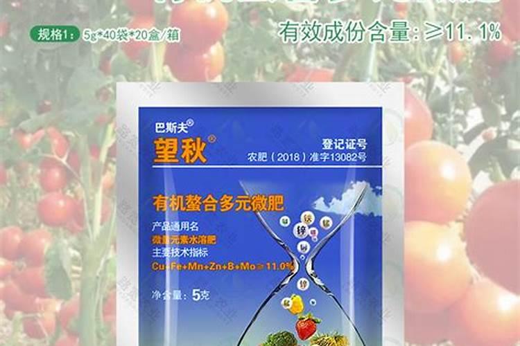 哪种叶面用的钙肥吸收好