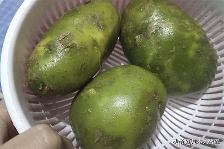 叶用甜菜种植方法