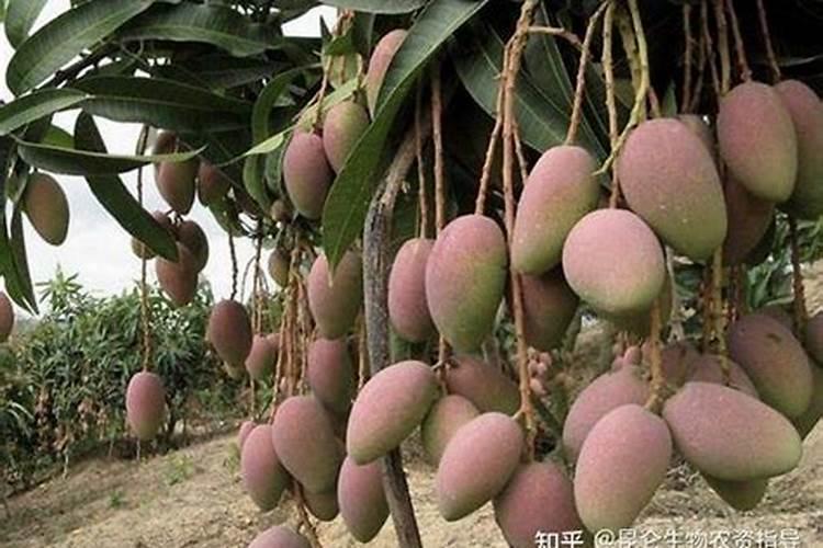 肥料检测标准有哪些标准？