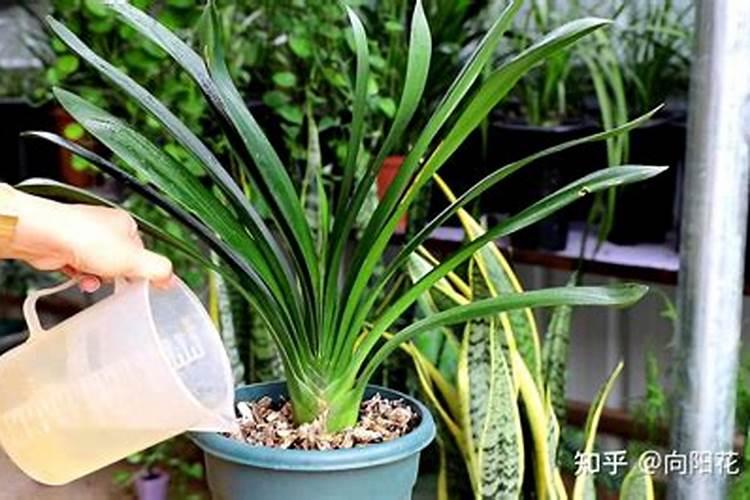 泳池水抽干,怎么清洁泳池？